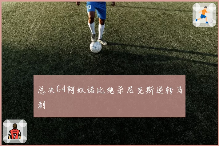 总决G4阿奴诺比绝杀尼克斯逆转马刺