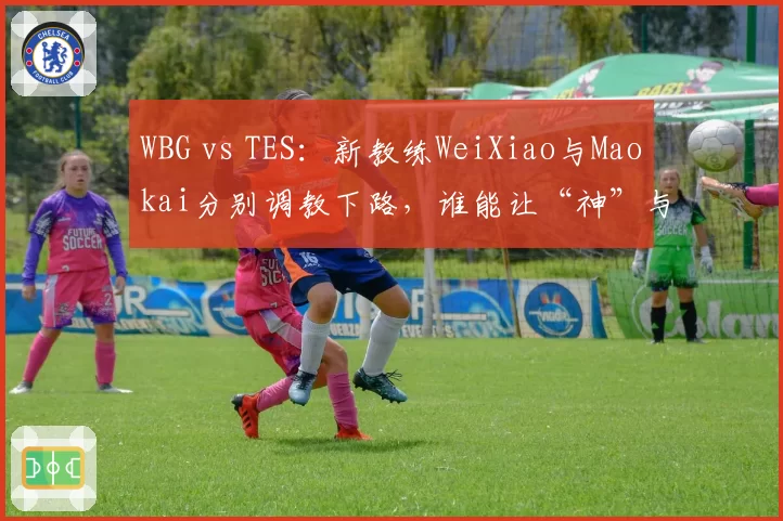 WBG vs TES:新教练WeiXiao与Maokai分别调教下路,谁能让“神”与“JKL”重回巅峰?