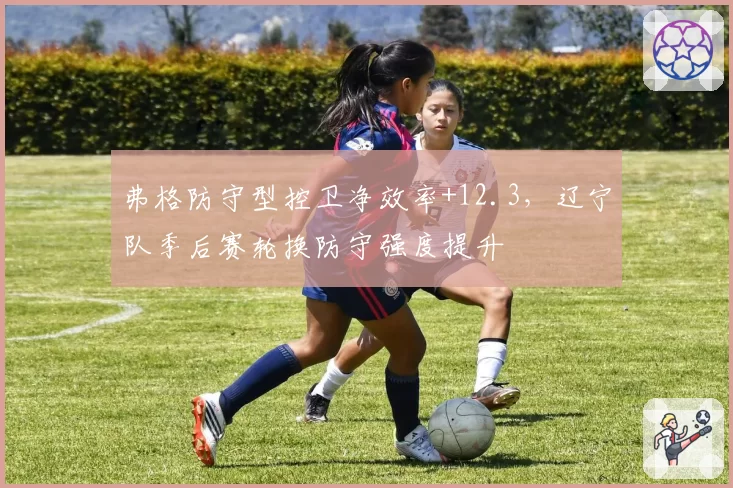 弗格防守型控卫净效率+12.3，辽宁队季后赛轮换防守强度提升