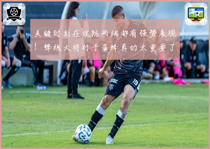 关键时刻在攻防两端都有强势表现!锋线大将对于黄蜂真的太重要了