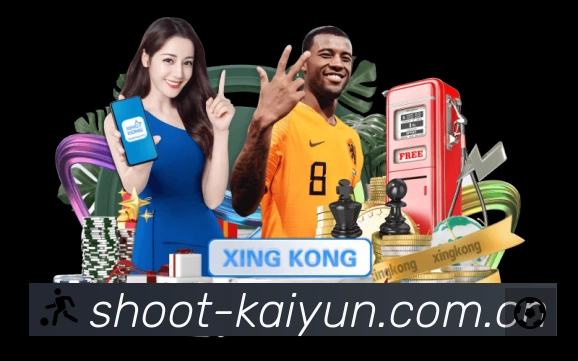 开云APP 高清赛事图
